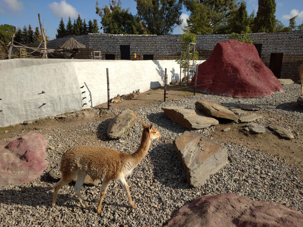 Ogród zoologiczny im. Stefana Milera w Zamościu