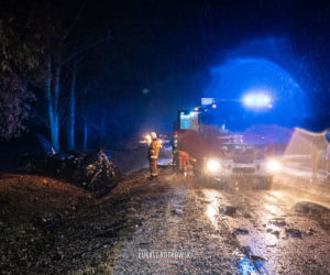 Wypadek śmiertelny na DK 65
