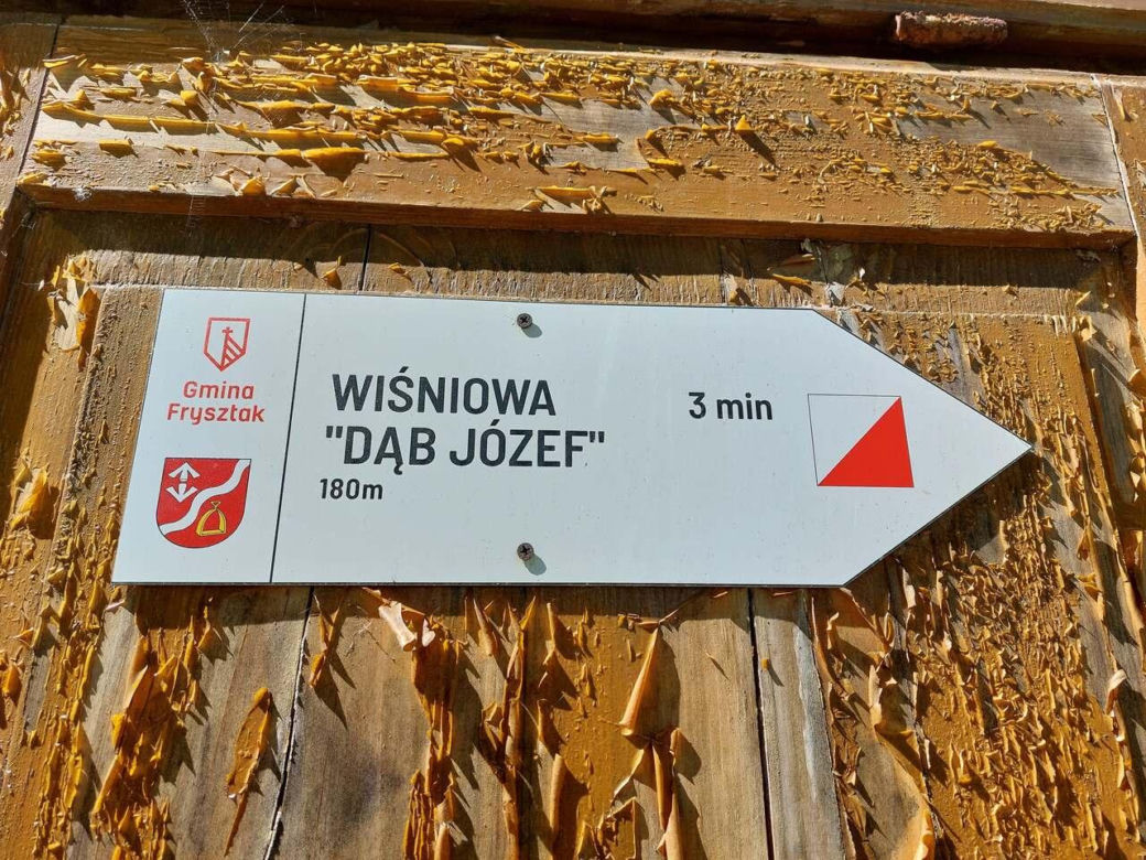 Zespół parkowo - dworski i folwarczny w Wiśniowej [ZDJĘCIA]