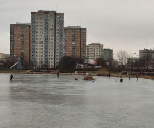 Skrajna nieodpowiedzialność w parku nad Balatonem