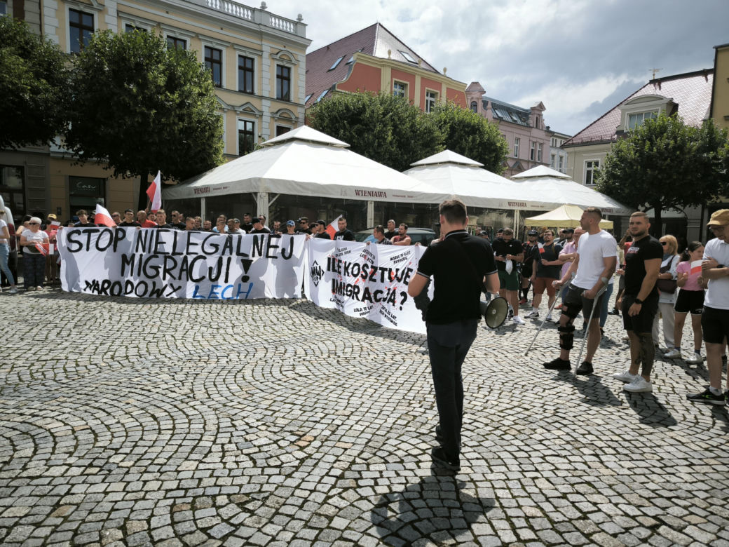 Manifestacja pod hasłem "Sto nielegalnej imigracji" w Lesznie