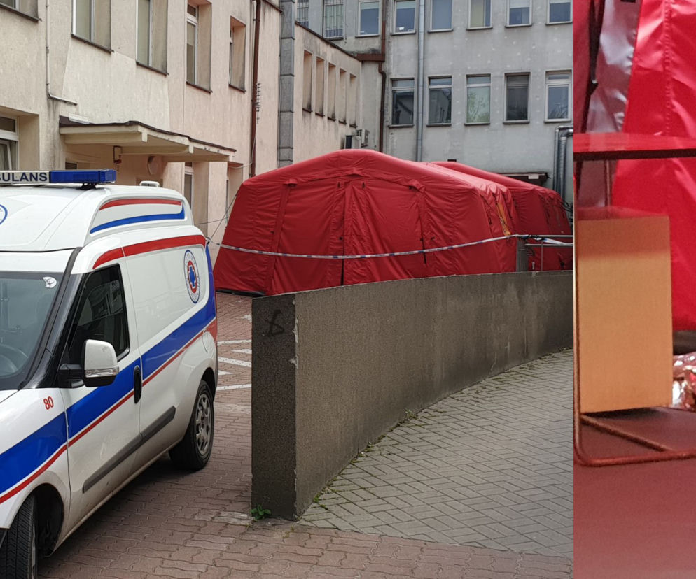zwłoki
