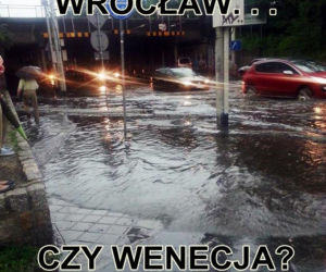 Typowy Wrocławianin