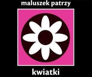 Książeczka dla noworodka 3
