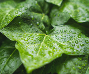 Nie tyko kwiecień plecień. Tak przepowiadały przyszłość nasze babki! Te kwietniowe przysłowia mogą zaskoczyć