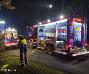 ŚMIERĆ dwóch 18-latków! Nocny dramat na drodze pod Poznaniem