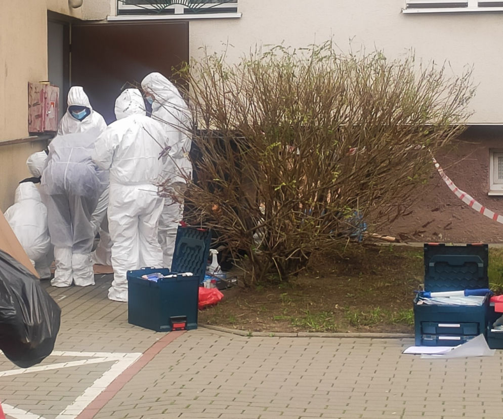 Gdańsk: Morderstwo na Żabiance. 
