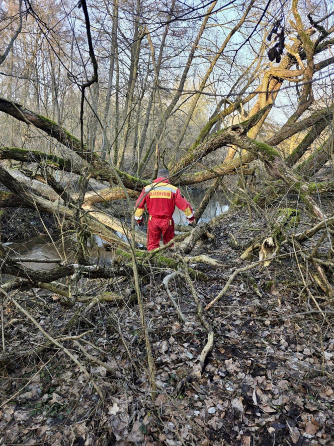 Tragedia w Cierpicach pod Toruniem. Ciało mężczyzny leżało w rzece