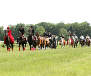 Ladies Day i Crystal Cup na Partynicach