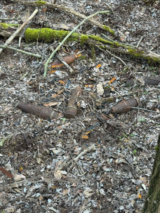 Arsenał w lesie koło Leszna. Saperzy wywozili go na raty