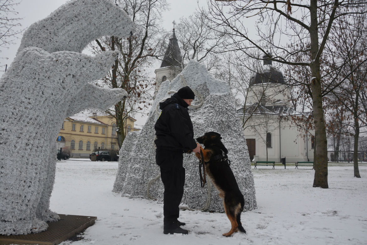 Tazer, policjant na 4 łapach, przeszedł na emeryturę