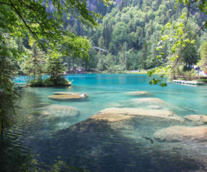 Blausee Jezioro w Szwajcarii