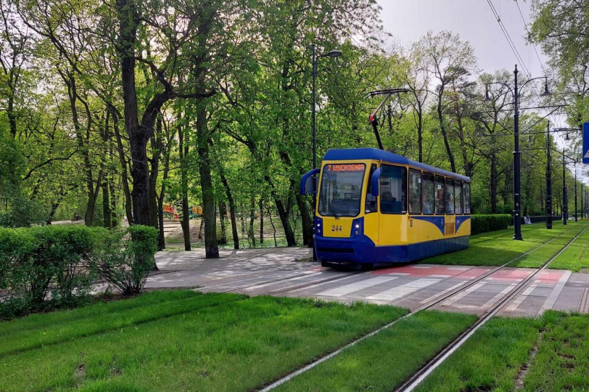 Chwalą się zielenią w centrum Torunia i pokazują zdjęcia. Tak wyglądają torowiska i nie tylko