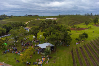 Aurea w stanie Rio Grande do Sul