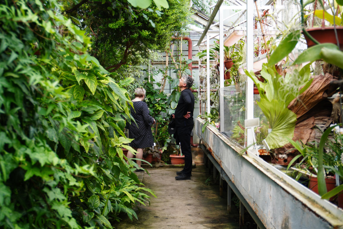 Ogród Botaniczny w Lublinie