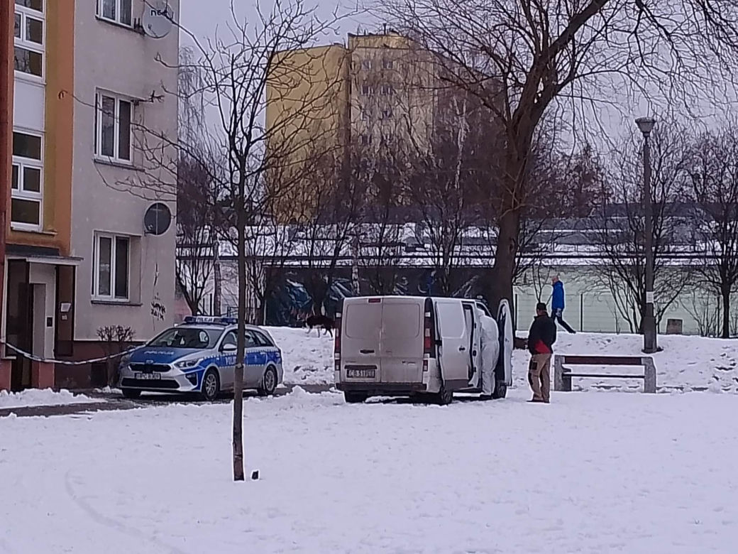 Rozmawiamy ze świadkami