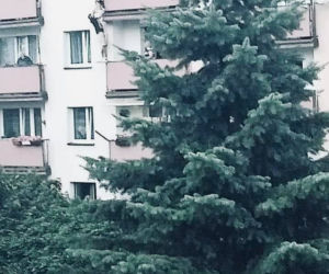 Bohater z Mysłowicach był jak Batman