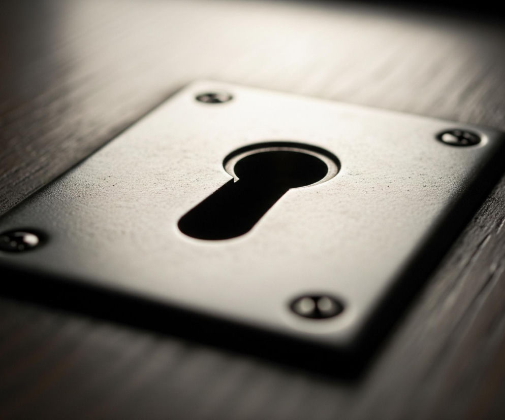 Centralnie umieszczona jest metalowa, prostokątna płytka z otworem na klucz pośrodku. Płytka jest w kolorze srebrnoszarym, lekko błyszcząca, z widoczną teksturą przypominającą delikatne zarysowania, i przymocowana czterema ciemnymi wkrętami do ciemnobrązowego, drewnianego podłoża. Otwór na klucz ma kształt owalu przechodzącego w prostokąt na dole, jest czarny i głęboki, a na górze i z lewej strony płytki widać jaśniejsze, rozmyte światło.