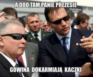 Za pensję Gowina musimy żyć rok!