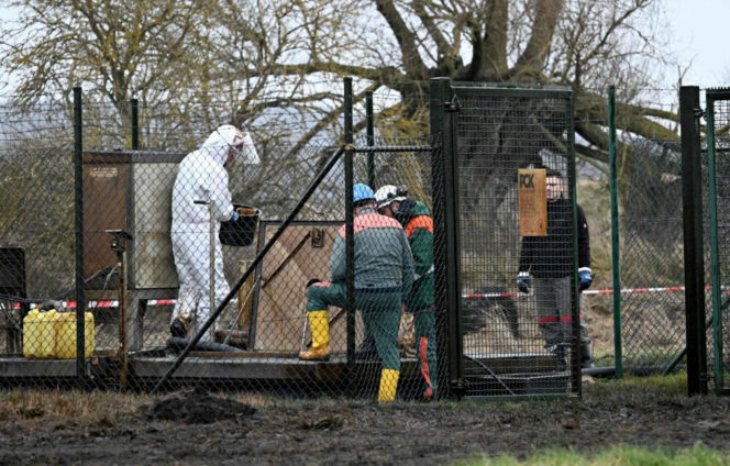 Awaria rurociągu tuż przy granicy z Polską