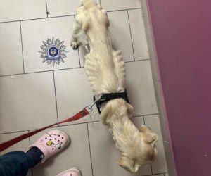 Szokująca interwencja w Chełmie