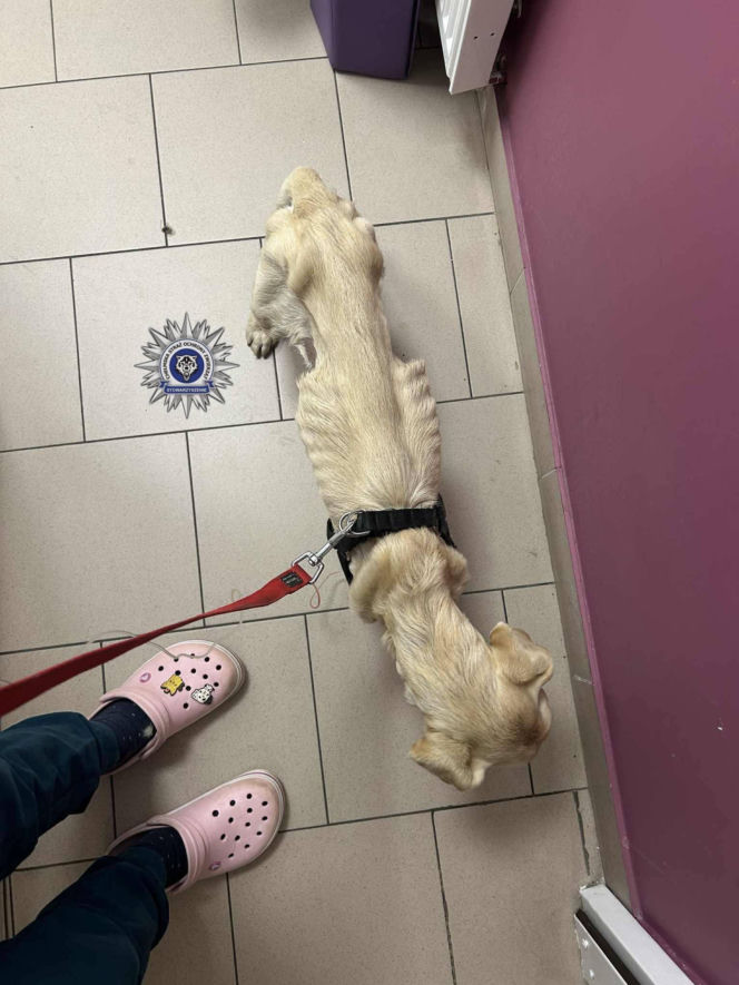 Szokująca interwencja w Chełmie