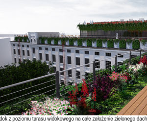Ten projekt zielonych dachów zajął III miejsce