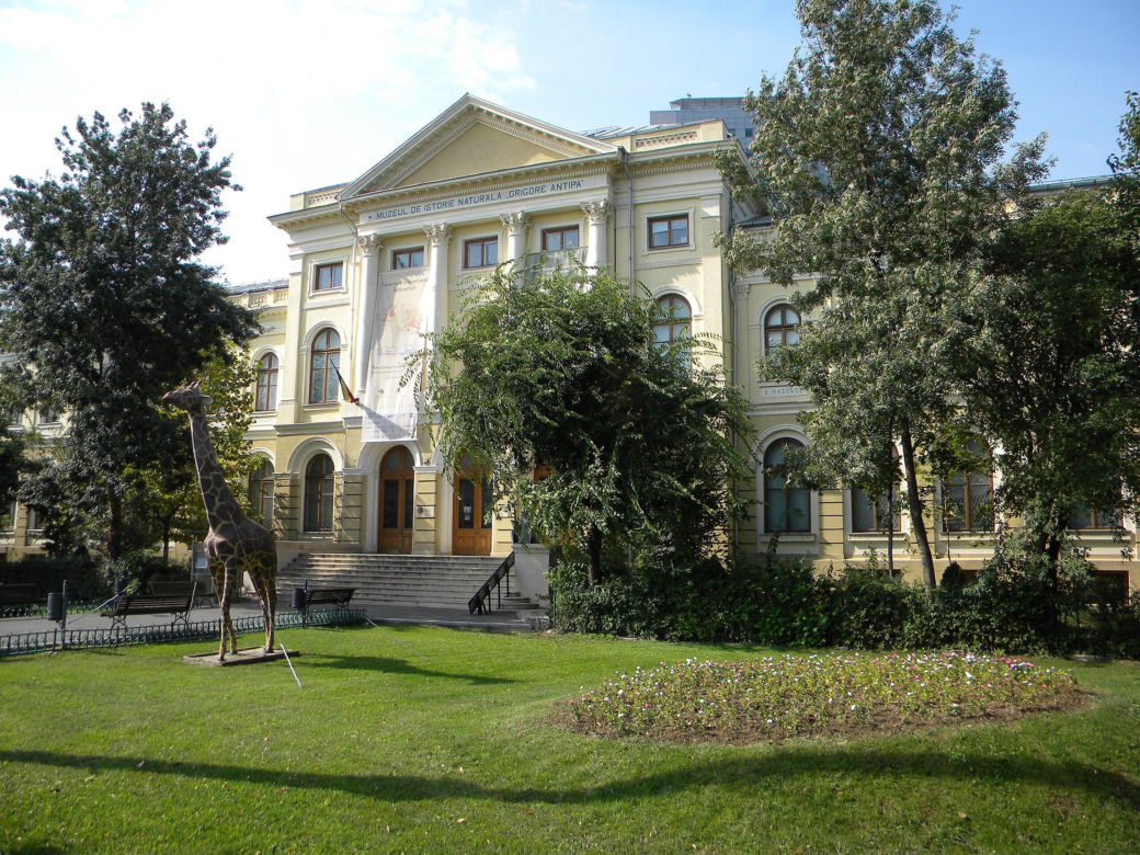 Muzeum Historii Naturalnej w Bukareszcie