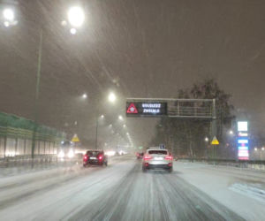 Śnieżyca w Śląskiem. Koszmarne warunki na drogach [ZDJĘCIA]