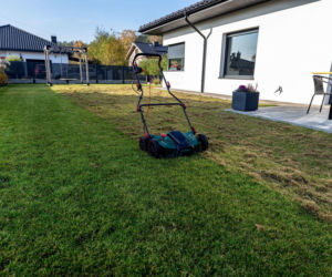 Trawnik po zimie: czas na regenerację! 