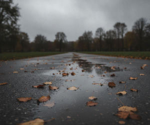 Weekend w Toruniu pokaże dwa oblicza. Po fali ciepła nadejdzie wyraźna zmiana
