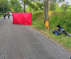Śmiertelny wypadek motocyklisty. Najpierw uderzył w sarnę, a następnie w przydrożne drzewo