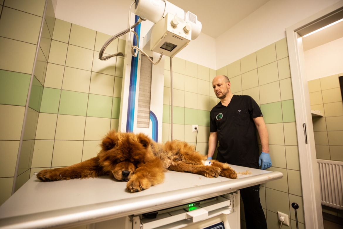 Borys ofiarą pseudohodowli 