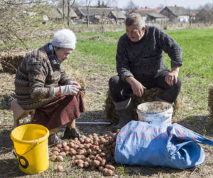 Rolnicy. Podlasie odcinek 15. Premiera w niedzielę 20 czerwca