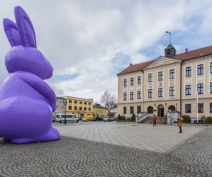 Zając Starego Browaru widziany w Grodzisku Wielkopolskim
