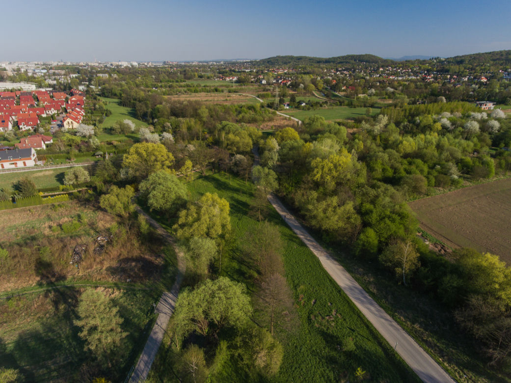 9. Młynówka Królewska 