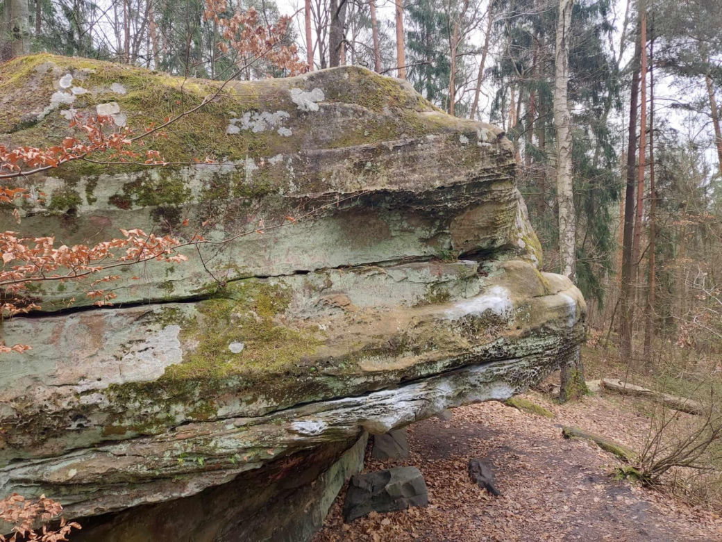 Rezerwat Przyrody "Skały pod Adamowem"