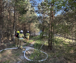 Strażacy walczą z potężnym pożarem na Mazowszu