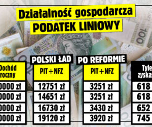 SE SG Tabela Działalność gospodarcza - Podatek liniowy
