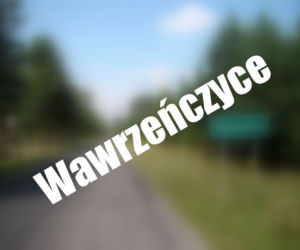 Wawrzeńczyce