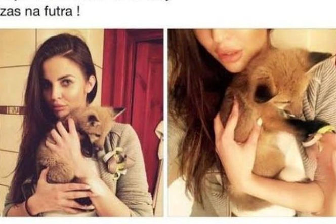 justyna pawlicka