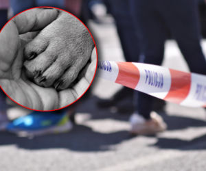 Michał zabił psa siekierą i zakopał jego ciało! Jego tłumaczenie zszokowało wszystkich