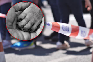 Michał zabił psa siekierą i zakopał jego ciało! Jego tłumaczenie zszokowało wszystkich