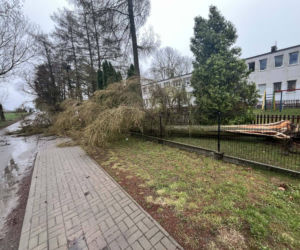 Interwencje Strażaków przy likwidacji szkód spowodowanych przez gwałtowny wiatr i burze