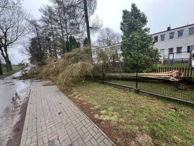 Interwencje Strażaków przy likwidacji szkód spowodowanych przez gwałtowny wiatr i burze