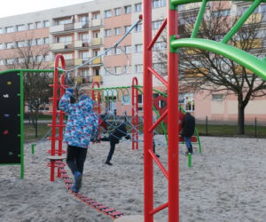 Integracyjny ogród społecznościowy na Błoniu gotowy