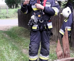 Ostrów Południowy. Strażacy ratowali kotka ze studni