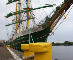 Alexander von Humboldt II