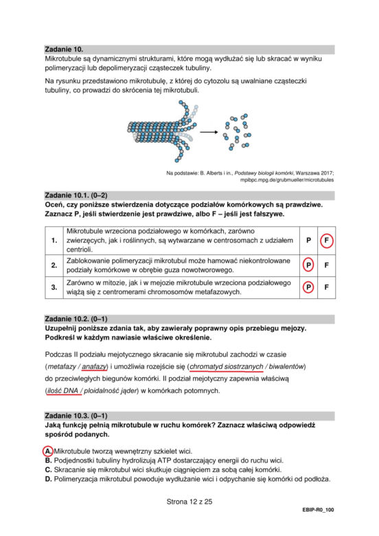 Matura 2022: biologia rozszerzona. Arkusze CKE, zadania, pytania. Poziom rozszerzony