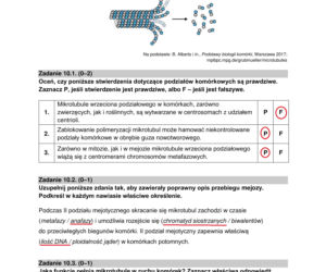 Matura 2022: biologia rozszerzona. Arkusze CKE, zadania, pytania. Poziom rozszerzony